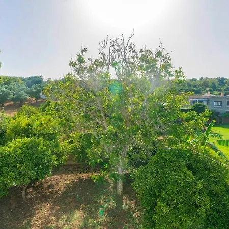 Fructus Vejer De La Frontera - El Palmar By Ruralidays 度假居