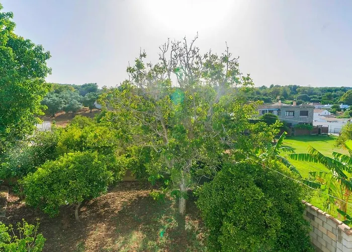 Fructus Vejer De La Frontera - El Palmar By Ruralidays Holiday home